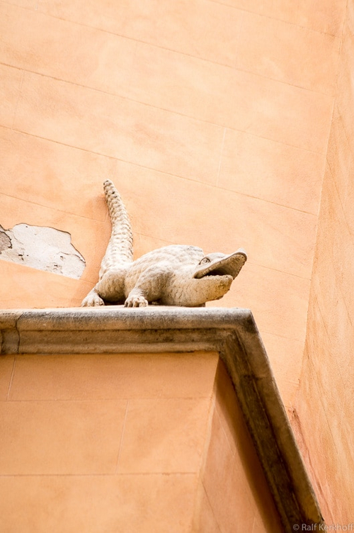Kroko