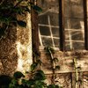 The Door
