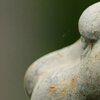 Rusty Head