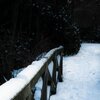 Crossing