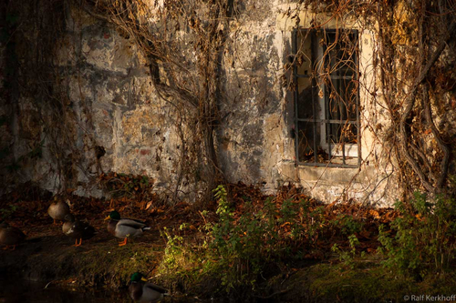 Old Wall