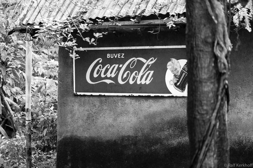 Jungle Bar