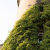 Burgturm