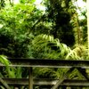 Old Bridge