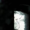 Light