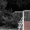 Anleger