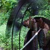 Spinning Wheel