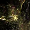 Depth of Field