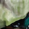 Ente