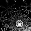 Ornamental