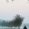 Morning Walk