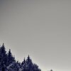 Schafbachtal