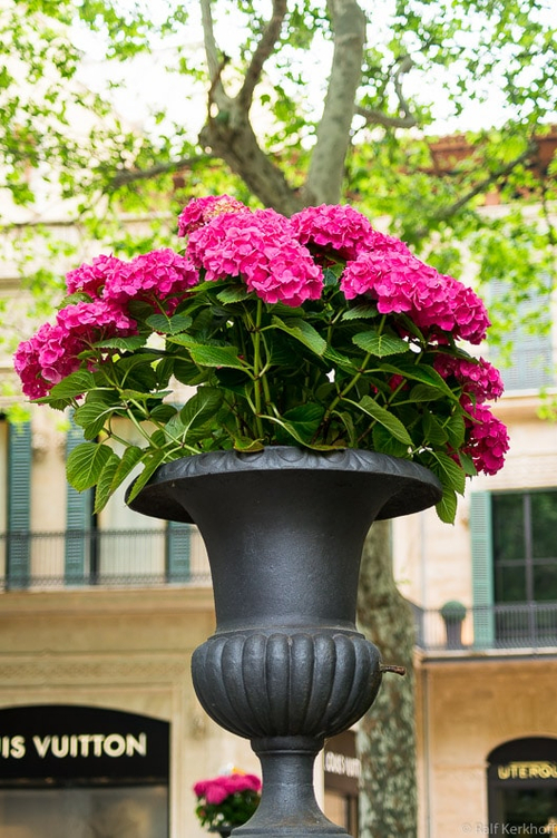 Flowerpot
