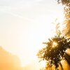 The Sun