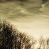WinterSky