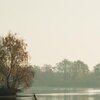November