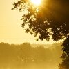 Sunbeams