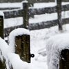 Fence
