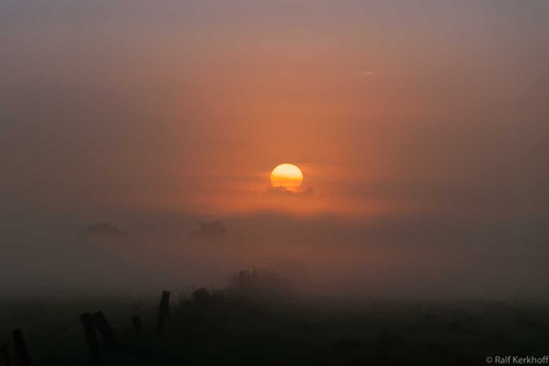 Glowing Fog