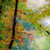 Farben