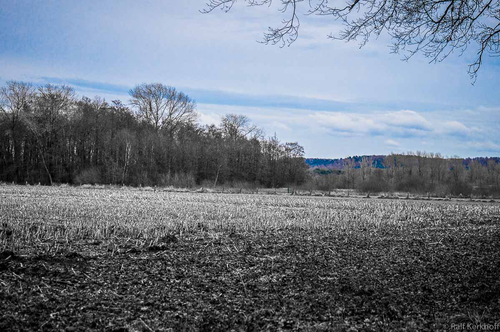 Winter Blue