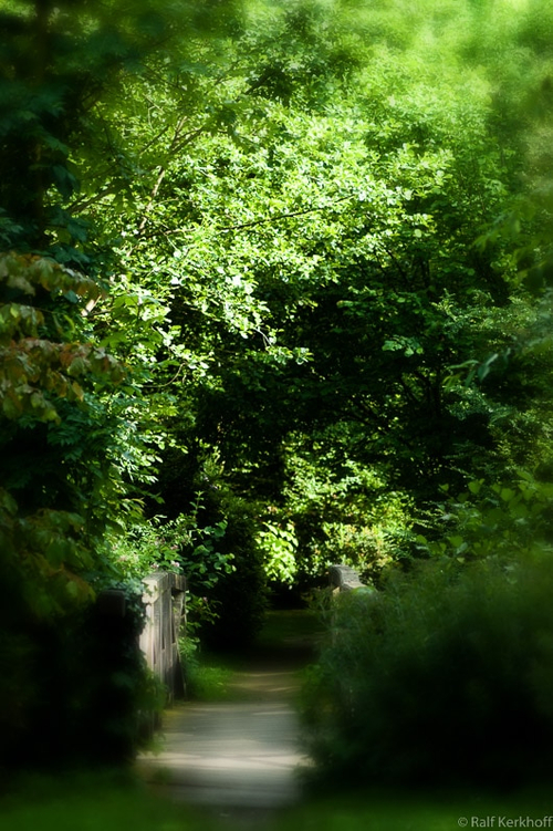 Alter Garten