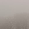 Winternebel