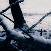 Freeze
