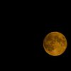 Fullmoon