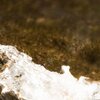 Sunny Ice