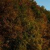 Herbstwall