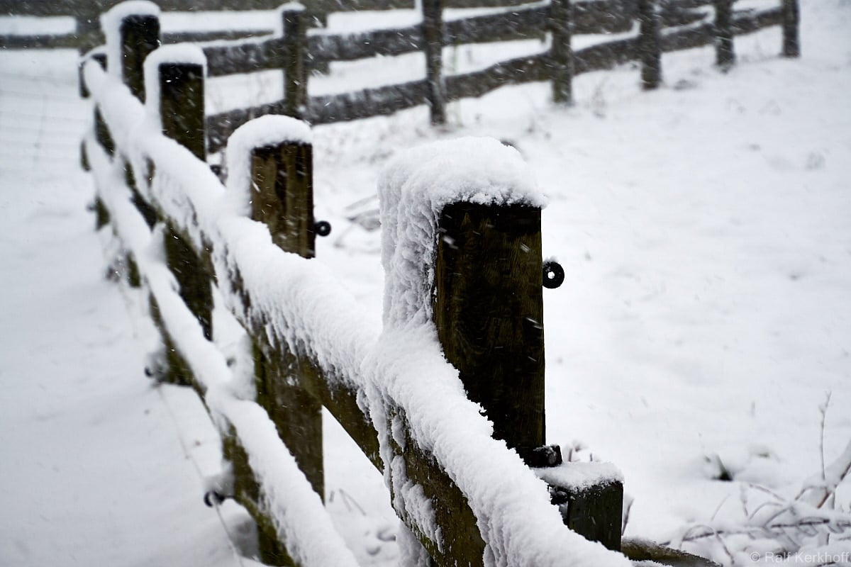 Fence