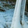 Ice Foot