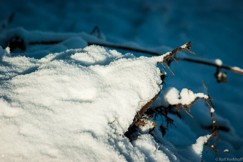 Snow
