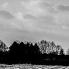 Schneefeld