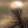 Winterhimmel