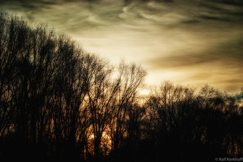 WinterSky