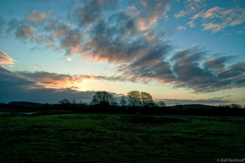 Morning Glory