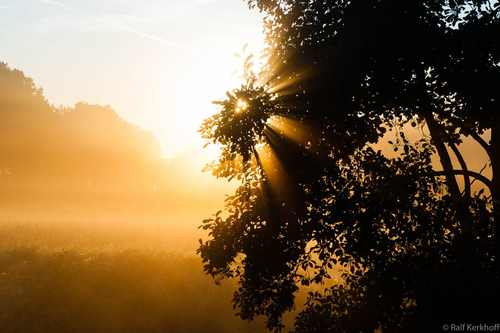 The Sun