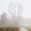 Mist