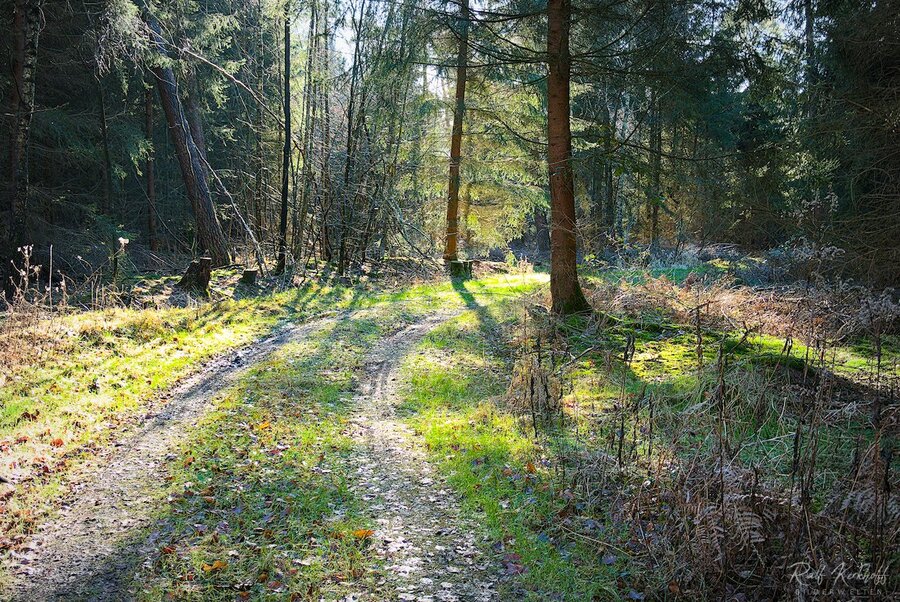 Landschaft