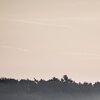 300