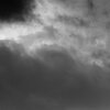 Broding