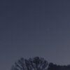 House and Trees