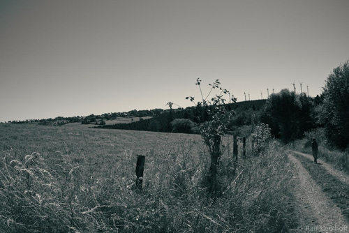 Pathway