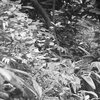 Path