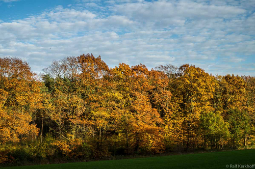 Herbstpracht