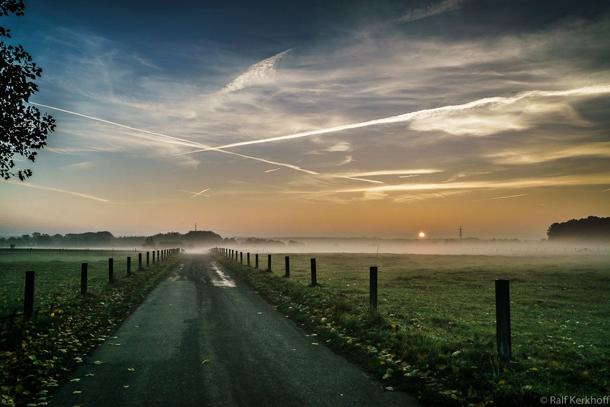 The Path