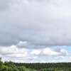 Wolfgarten