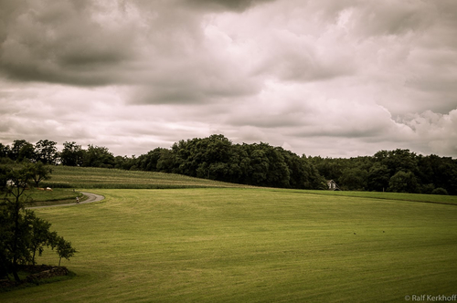 Bronze